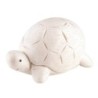 P100TT Pole Pole Tortoise