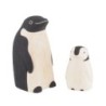 P105PG Pole Pole Pair Penguin