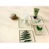TU004D Amenity Tile Two Leaf