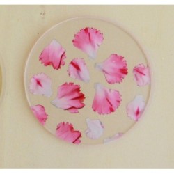 TU001PK1 Coaster Single Pink