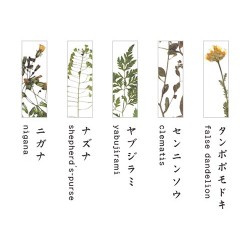 TU002BA Chopstick Rest Set Botanics A