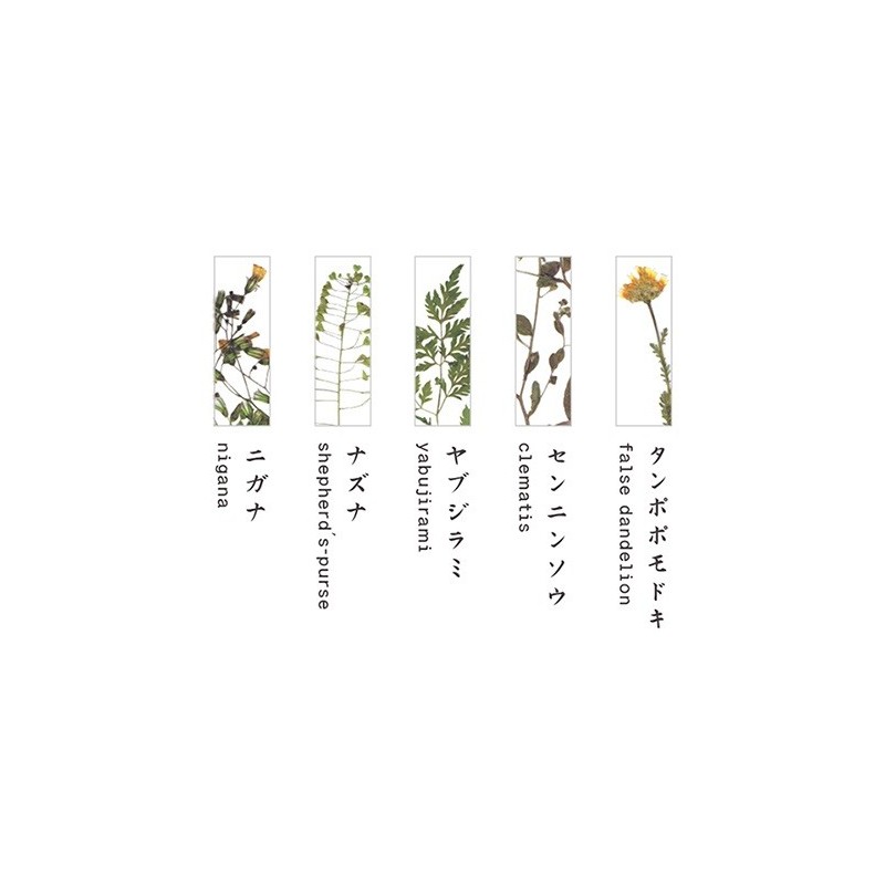 TU002BA Chopstick Rest Set Botanics A