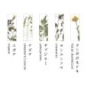 TU002BA Chopstick Rest Set Botanics A