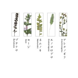 TU002BB Chopstick Rest Set Botanics B