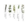 TU002BB Chopstick Rest Set Botanics B