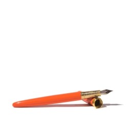 FW005PS Brush Fountain Pen Medium Nib Persimmon