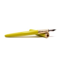 FW005DDG Brush Fountain Pen Medium Nib Duck Duck Goose