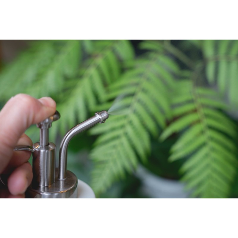 Little Sprayer