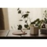 Incense Stand Set