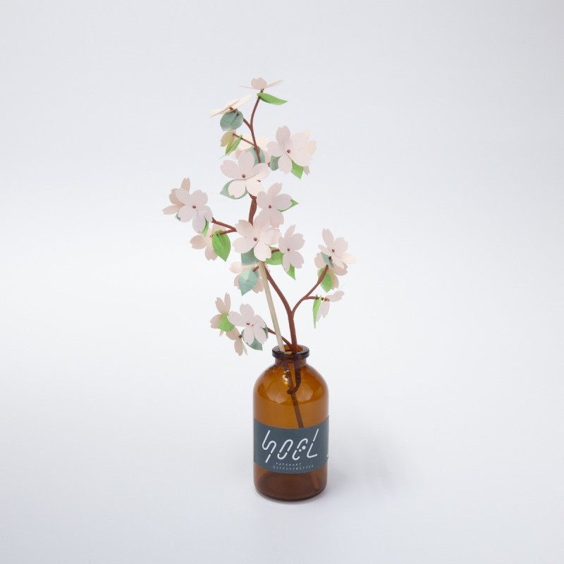 BC003CB SOEL Cherry Blossoms
