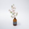 BC003CB SOEL Cherry Blossoms