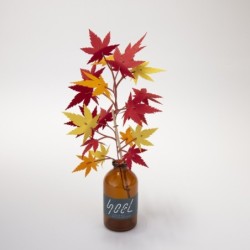 BC003MP SOEL Maple