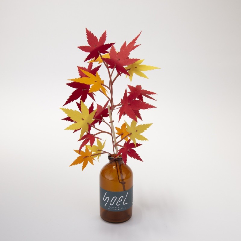 BC003MP SOEL Maple