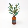 BC003OL SOEL Olive