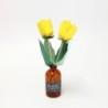 BC003TU SOEL Tulip