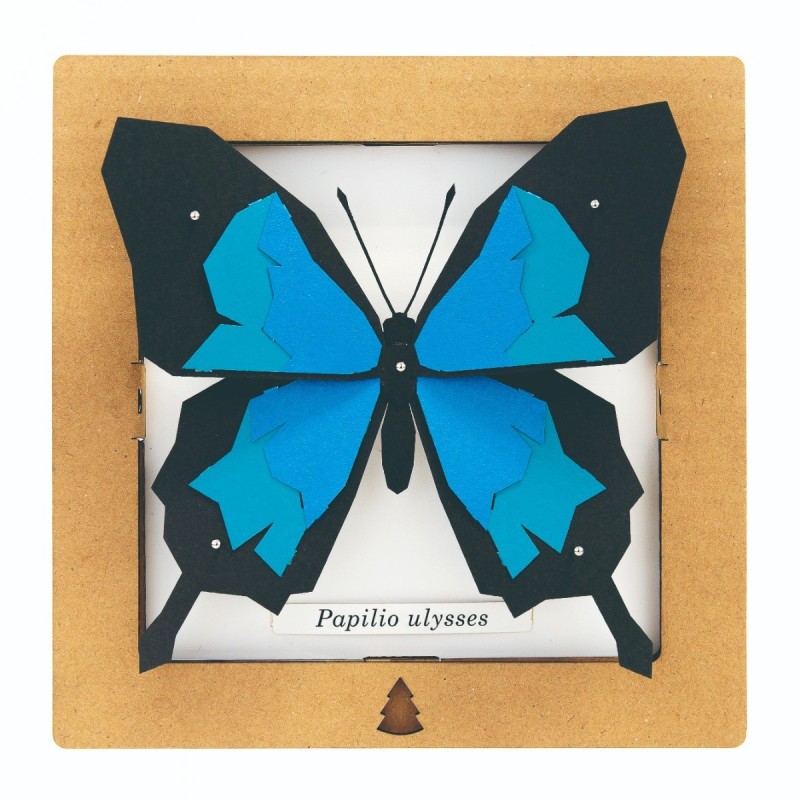 BC00201 SQAR Blue Butterfly