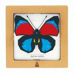 BC00203 SQAR Red-Blue Butterfly