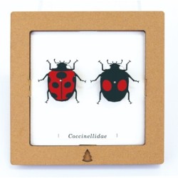 BC00209 SQAR Ladybug Pair
