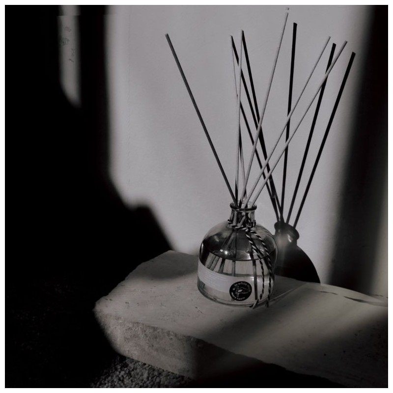 NC012MF More Room Musk Freesia Reed Diffuser
