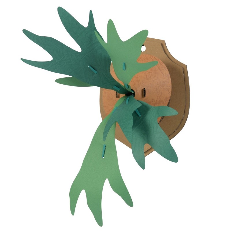 BC004GS KAMI NO MIDORI Giant Staghorn