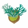 BC004SF KAMI NO MIDORI Staghorn Fern
