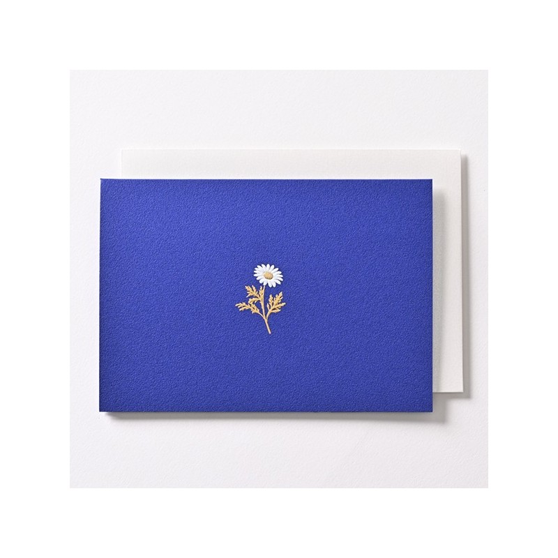Blank Cards