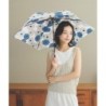 Mini Folding Umbrella (old)