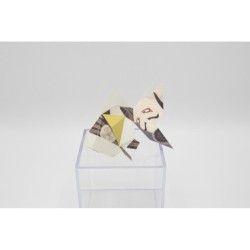 BC005GF Goldfish