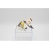 BC005GF Goldfish