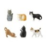 I290CT Mini Magnets 6-pce Cat